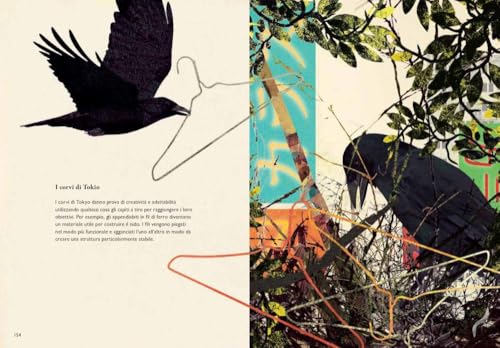 Di Corvi E Cornacchie - 7