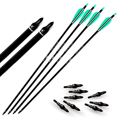Archery Arrow Field Points Tips - Practice Target & Hunting Arrows Heads For Recurve, Compound Bow & Crossbow Bolts, Screw-In 100 Grain (12 Pack) #TOP5