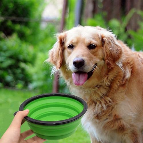 Image of SLSON Silicone Collapsible Dog Bowl,2 Pack Collapsible Dog Water Bowls for Cats Dogs,Portable Pet Feeding Watering Dish for Walking Parking Traveling with 2 Carabiners (Large,Large Blue+Green)