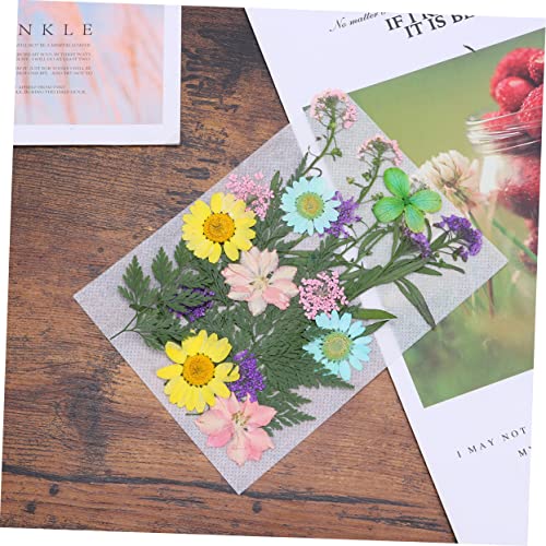 EXCEART 22Pcs Decoração De Scrapbooking Precoce Sobre Resina Prensada Fazendo Cartões Marcador De Li