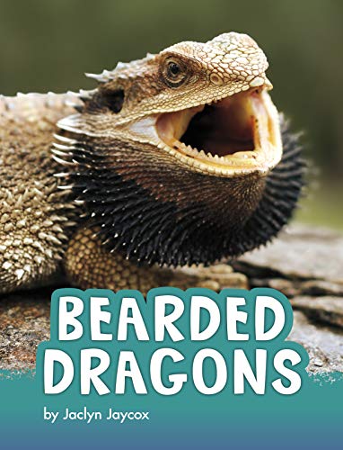 Bearded Dragons (Animals) view 2