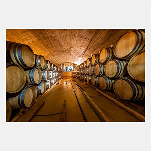 eFrame Fine Art | Wine Barrel Cellar, Cape Winelands, Winery South Africa 1 of 2 by Blaine Harrington 8" x 12" Photograph Print Wall Art for Wall or Home Decor (No Frame)