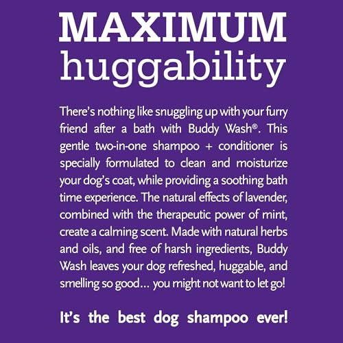 Buddy-Wash-2-in-1-Dog-Shampoo-and-Conditioner-for-Dog-Grooming-Lavender-Mint-1-gal-Bottle - Cucciolini Doodles   Buddy-Wash-2-in-1-Dog-Shampoo-and-Conditioner-for-Dog-Grooming-Lavender-Mint-1-gal-Bottle