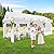 COBIZI 10x20ft Party Tent Heavy Duty Wedding Canopy for Events, 4 Removable Sidewalls, Built-in Sandbag, UV50+, Waterproof, White