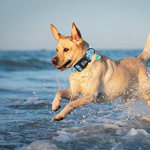 Image of Dog Collar-Cute Shark Adjustable Pet Collars Soft Comfortable Puppy Collar Blue Cotton Dog Collars Durable Necklace Gift for Large Dogs