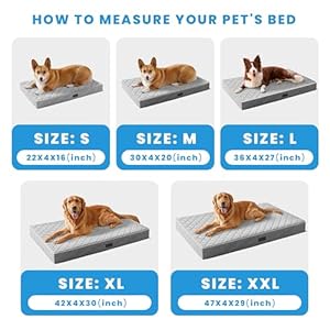 SunStyle-Home-Orthopedic-Dog-Beds-for-Large-Dogs-Large-Dog-Bed-with-Egg-Crate-Foam-Support-Non-Slip-Bottom-Removable-Washable-Cover-Mattress-Pet-Mat-BedLight-Grey - Cucciolini Doodles   SunStyle-Home-Orthopedic-Dog-Beds-for-Large-Dogs-Large-Dog-Bed-with-Egg-Crate-Foam-Support-Non-Slip-Bottom-Removable-Washable-Cover-Mattress-Pet-Mat-BedLight-Grey