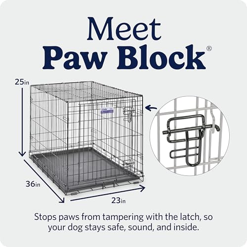 MidWest Homes for Pets iCrate Hundebox, klappbar, 1 Tür, Trennwand, auslaufsichere Bodenwanne, sichere Riegel, Metalldraht, für mittelgroße bis große Rassen, tragbar, robust, einfacher Aufbau, 91 cm