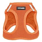 Voyager step-in air dog harness - all weather mesh step in vest harness for small and medium dogs by best pet supplies - harness (orange), medium 8 51vsonhh6ul. Sl500. Ss150