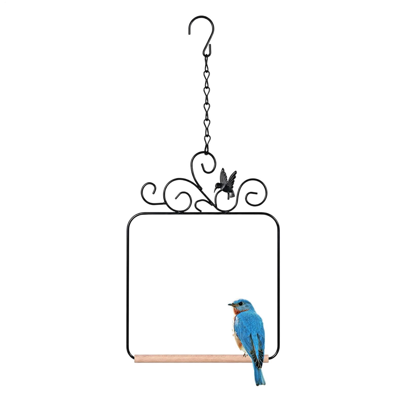Bird Swing Outdoor - Metal Frame Bird Perch With Chain