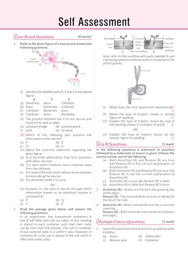 Image of MTG CBSE Class 10 PYQs Book | 10 Years (2026-2017) Chapterwise Topicwise Solved Papers Science - CBSE Champion For 2027 Exam | Free Video Solution of PYQs | CBSE Sample Paper (As Per Pattern)