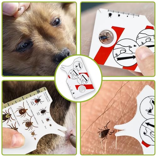 Avigers 1 Stück Zeckenkarte mit Lupe für Mensch, Kinder, Hund und Katze, Zeckenkarte für Menschen für Outdoor, Camping und Haustiere, Tick-Karte sanft Zecken vom Haustier oder Menschen entfernen