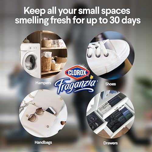 clorox fraganzia deodorizing balls lavender with eucalyptus scent - battery free air refresher odor eliminators for shoes gym bag closet locker hamper and drawer odor deodorizers 6 count