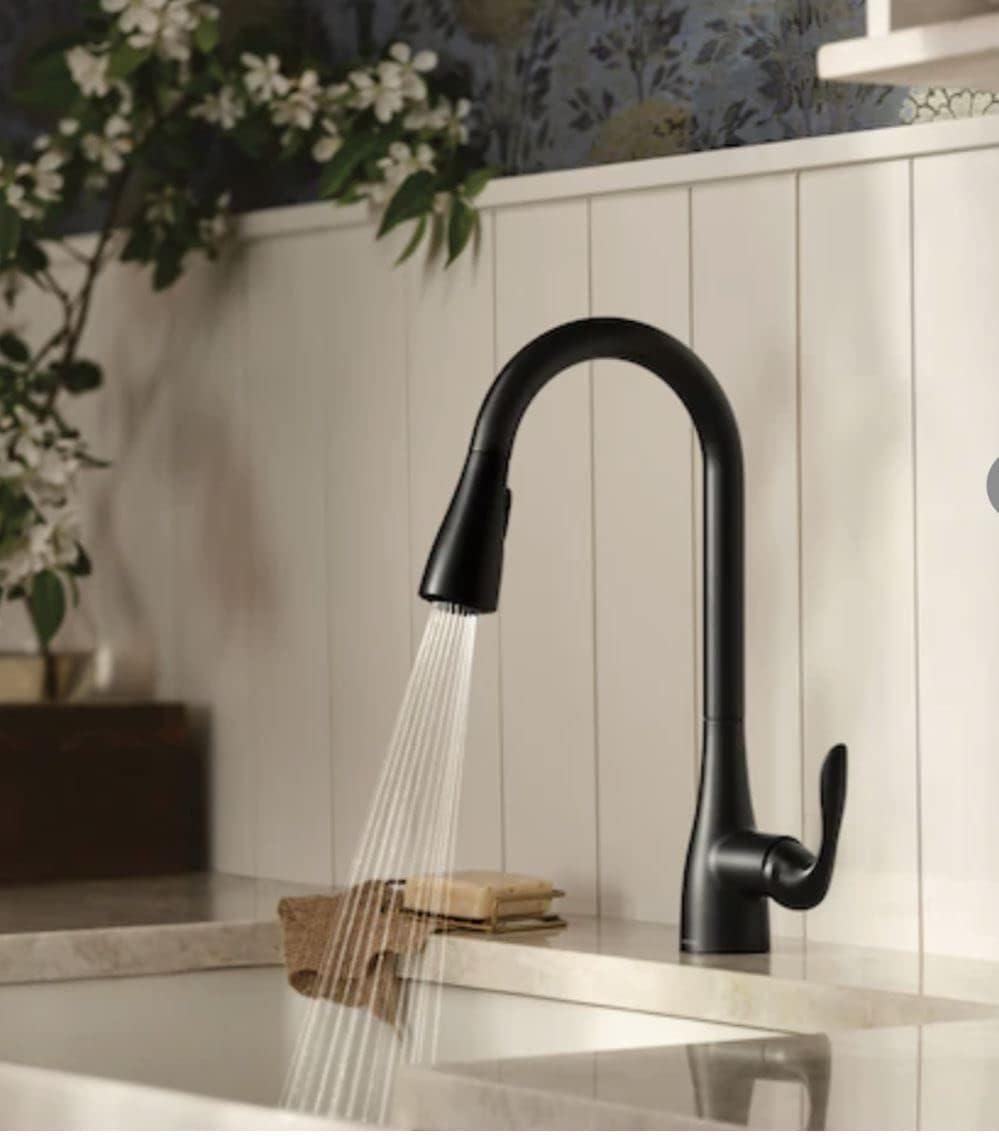 Moen 87912BL Georgene Matte Black Single Handle High-Arc Kitchen Faucet with Sprayer Function (Deck Plate Included)