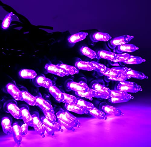 Holiday Essence Purple Led Halloween String Lights Outdoor Indoor 100 Mini Christmas Tree Lights Set Decorations 26.9 Ft Green Wire Holiday Valentine Mardi Gras Décor Lighting thumb #1
