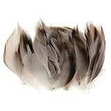 * Material: Fasan Feder P Prettyia 100er Pack Natur Dekoration Hahnfeder Perlhuhn Federn für Kostüme, Hüte, basteln, Zuhause Dekor - Farbe4, 5-8cm