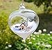 Siyaglass Pack of 3 Hanging Terrarium Glass Vase Flower Air Plant Pot Container Home Office Wedding Decoration Heart Shape