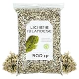 Muschio Marino Islandese 500 g - Lichene Islandese - Tè al Lichene Islandese - Infuso di Lichene Islandese - Lichene Islandese in Blocco (500 gr)