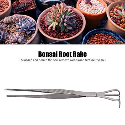 Deosdum Rake de raiz de aço inoxidável 3 pinos soltos ferramentas de árvore de bonsai, mini rack de