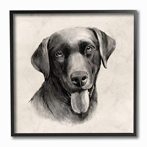 Stupell Industries Vintage Sepia Tone Black Labrador Dog Portrait by Stupell Industries - Used condition - US$26.38