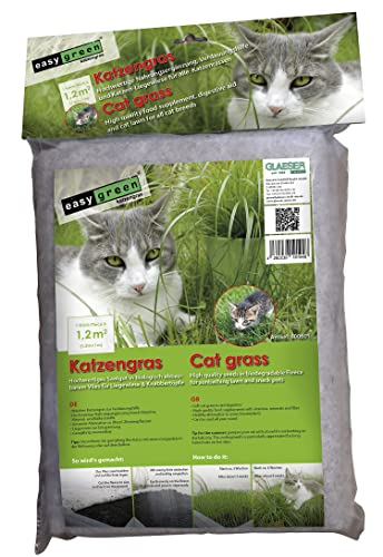 GLAESER easygreen - Hierba para gatos 1,20 m² | Limpieza gástrica para gatos | Suplemento alimenticio para gatos | Especialmente adecuado para gatos domésticos | Ayuda a las bolas de pelo Cover