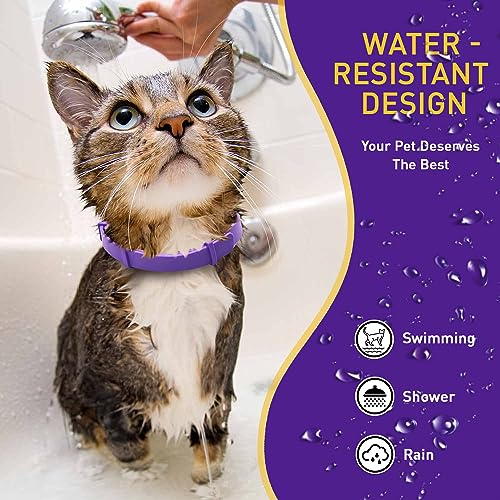 image for PetAtlas 4 Pack Calming Collar for Cats – Pheromone Cat Calming Coll
