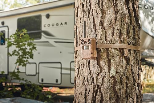 Moultrie Edge 2 Cellular Security Camera - On Demand 36MP Photo - 1080P Video with HD Audio - Auto Connect Nationwide 4G LTE - 100 Ft Detection Range - Low Glow Flash by Moultrie - Image 3