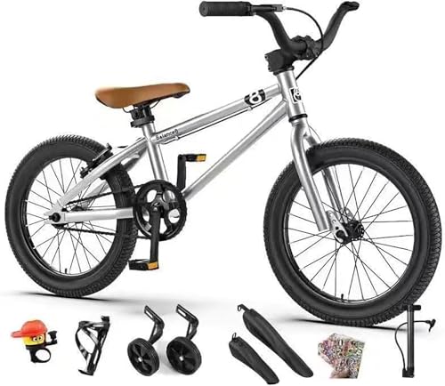 Amaibijin �q���p���]�� 16�C���`/20�C���` �c���p���]�� �}�E���e���o�C�N BMX �⏕�֕t �����j���O�o�C�N �L�b�Y�o�C�N �������߉\ ����110-165cm �y�� �j�̎q ���̎q �q���̓��M�t�g �a�����v���[���g,Silver 2,20