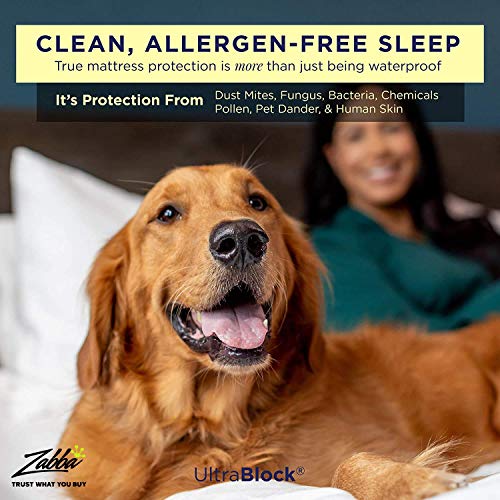 UltraBlock Futon Full Waterproof Mattress Protector - Premium Soft Cotton Terry Cover