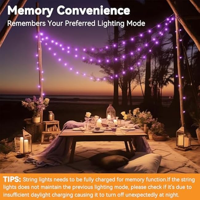 Solar String Lights Outdoor Waterproof 2 Pack Total 66ft 200LED 8 Modes Twinkle Lights Solar Fairy Lights for Patio, Garden Yard Party Wedding Tree Christmas Halloween Decoration, Purple