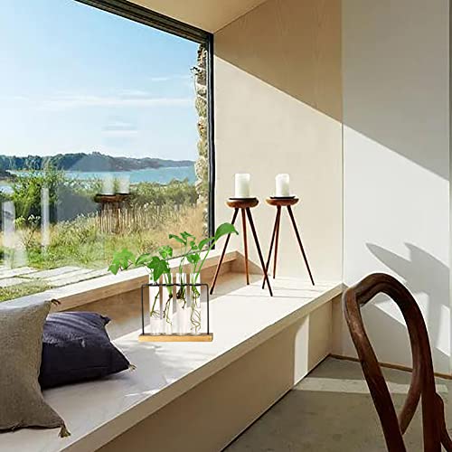 Planter Terrarium Flower Vase With Wooden Stand For Propagating Hydroponic Plants Home Garden Office Decor (Style3) #TOP5