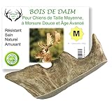 ARTISAN GIFT CO Bois de Daim pour Chiots et Chiens a Mâcher – Cornes Naturelles, M - 1, Poids unité plus de 100 g.