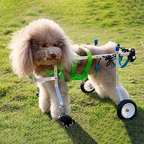 Silla de ruedas para perros de 4 ruedas con soporte completo para patas