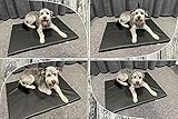 FORTISLINE Hundematte 80x60 cm M Hellbraun – Waschbares Hundebett aus Kunstleder, Wasserabweisendes Hundekissen für Hundebox und Auto, Pflegeleichte Hundematte für kleine und mittelgroße Hunde