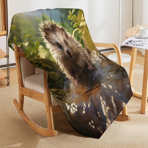 Couvertures en hérisson flannel de qualité supérieure drap de lit doux