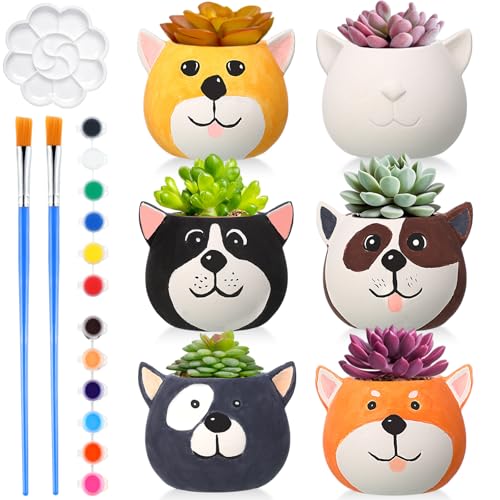 Pasimy 6 Set Ceramics to Paint DIY Ceramic Succulent Planter