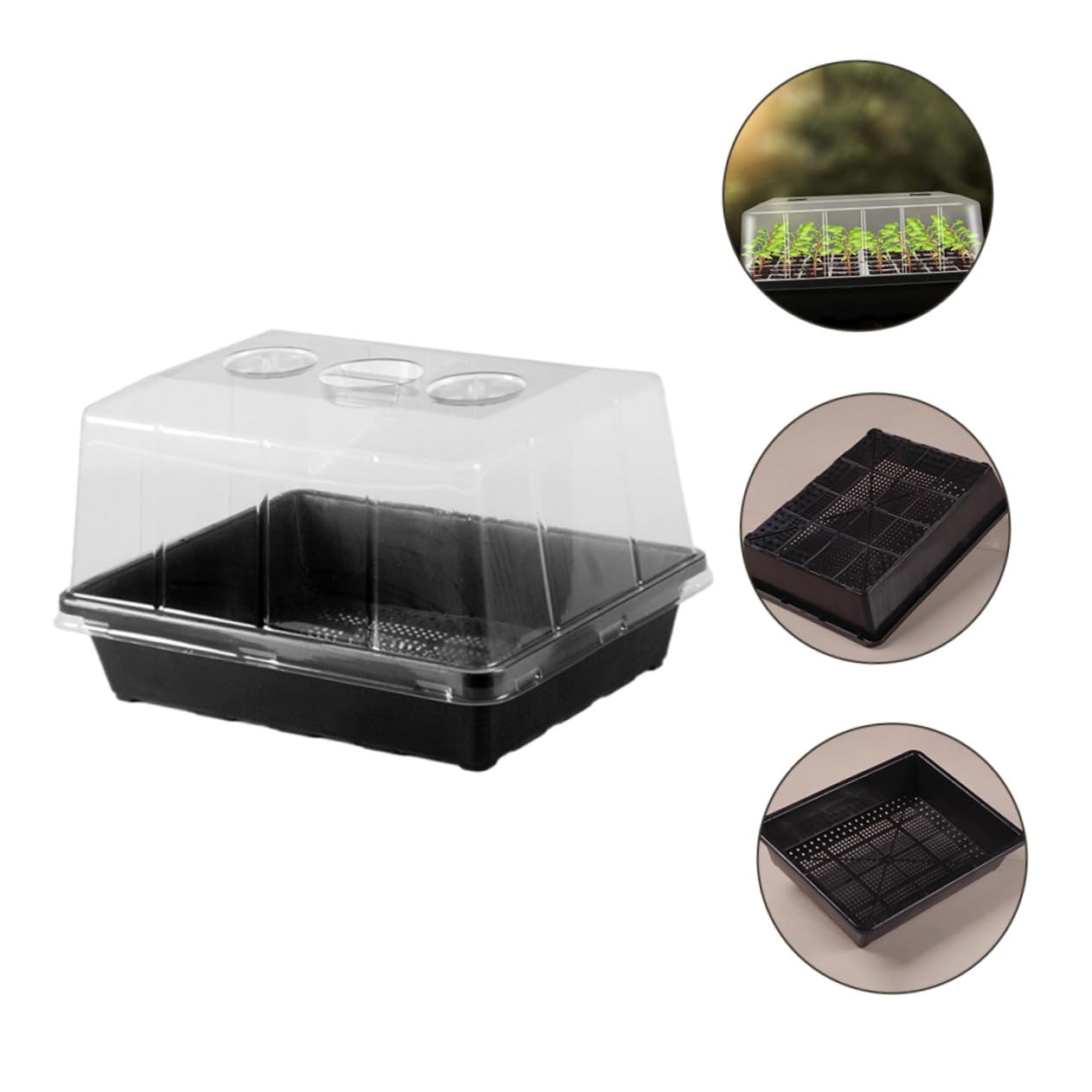 INOOMP Plateau de Germination Modèle S pour Semis en Plastique, Lot 1 Set