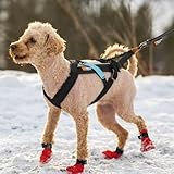 Non-Stop Zuggeschirr FREEMOTION Harness Brustgeschirr schwarz für Hunde Größe 5