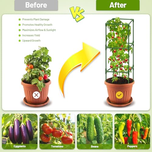 Legigo 2 Pack Square Tomato Cages- 45 Inch Heavy Duty Tomato Trellis for Climbing Plants Outdoor, Tomato Plant Support Stakes Cage Garden Trellis for Garden Raised Garden Bed Cucumbers Vegetables by Legigo - Image 3