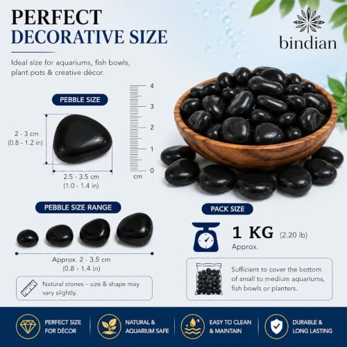 Image of Bindian Decorative Pebble Stone, Multicolour, Natural Stone, Smooth & Polished, for Aquarium, Garden, Plant Pot, Fountain Decor (5 Kg, Black)