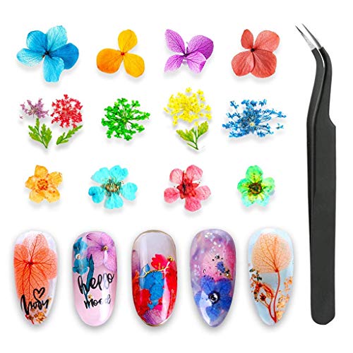 Dienalls Dried Flowers for Nails, Nail Art Supplies for Women Acrylic Nail Decorations, with Tweezers Nail Art Accessories, 72 Pcs 3 Boxes Natural Dried Pressed Flowers