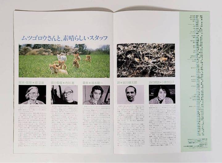 Amazon.co.jp: 1986年映画子猫物語パンフレット坂本龍一ムツゴロウ畑