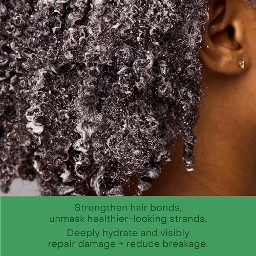 SheaMoisture Amla Oil Bond Repair Masque - Image 4