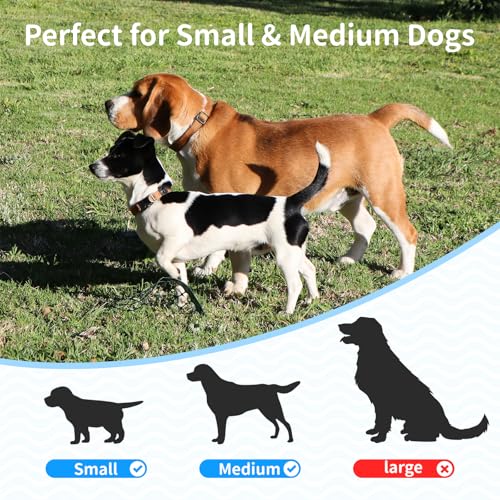 Orifesio Ballwurfmaschine für Hunde, Ballmaschine Hund mit 6 Tennisbälle, Interaktives Hundespielzeug Elektrisch für Kleine Hunde, Hund Tennis Ballmaschine für Innen und Außen