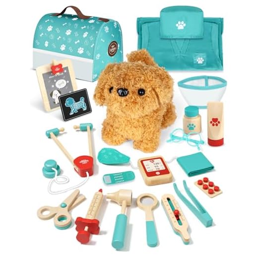 Lehoo Castle Malette Docteur Enfant, Vétérinaire Enfant en Bois, Malette Docteur avec Chien la Peluche, Docteur avec Robe de Médecin et Chapeau, pour Fille Garcon 3+ Ans(Vert)