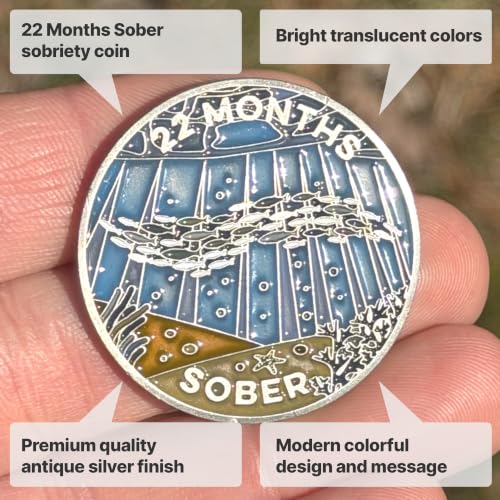 Image of The Achieve Mint 22 Months Sober Token | 22 Months Sobriety Chip | Non-AA, Non-Religious Medallion for Men and Women Celebrating Sobriety