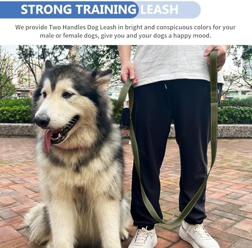 Strong Heavy Duty Dog Leash - 5ft Reflective Nylon Training Leash with Soft Padded Double Handle & Auto Lock Frog Clip - Safety Traffic Control for Large Medium Small Dogs No Pull Walk Army Green,6ft - 5