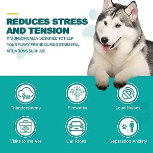 Calming Chews for Dogs 110 Cherws, Dog Calming Treats, Helps with Dog Anxiety, Separation, Barking, Stress Relief, Melatonin for Dogs, Sleep Calming Aid, All Breeds & Sizes (Pekingduck-110Chews) Calming Chews for Dogs 110 Cherws, Dog Calming Treats, Helps with Dog Anxiety, Separation, Barking, Stress Relief, Melatonin for Dogs, Sleep Calming Aid, All Breeds & Sizes (Pekingduck-110Chews)