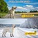 EXPAWLORER Anti Slip Dog Socks to Prevent Licking Paws, Shoes for Hot Pavement, Boots & Paw Protectors with Grippers, Waterproof Booties for Hardwood Floors for Small Medium Large Senior Dogs Khaki M
