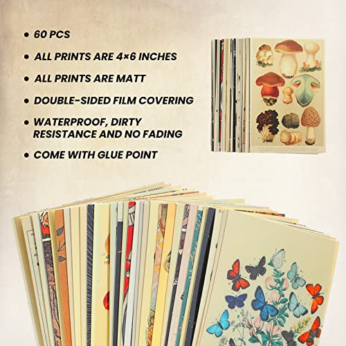 Containlol 60 Pcs Vintage Wall Collage Kit Botanical Illustration Tarot Aesthetic Vintage Prints Cards Photo Wall Collection Aesthetic Collage Dorm Bedroom Decor