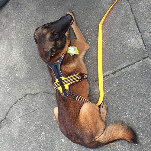 Truelove TLH5551 verhindert Zerren Hundegeschirr mit Griff Weich Gepolstert Pet Hundegeschirr Weste, reflektierendes Material(M, Orange)